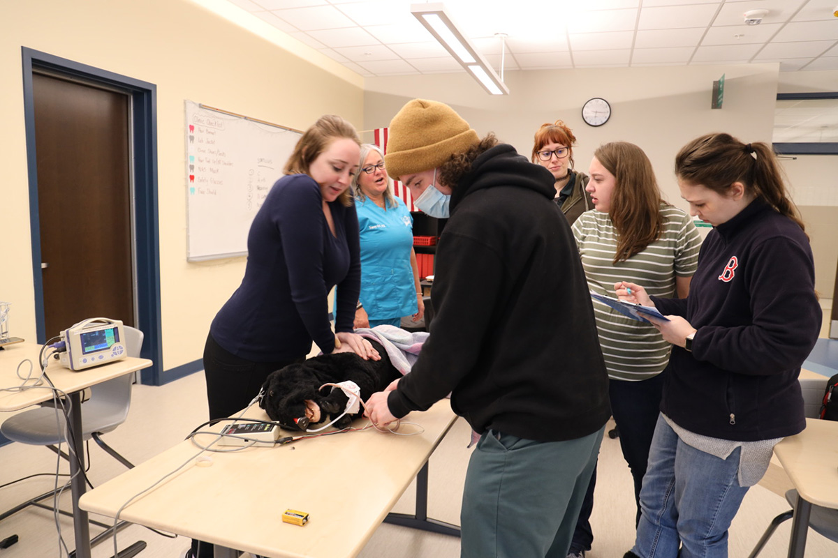 Veterinary Students working with dog